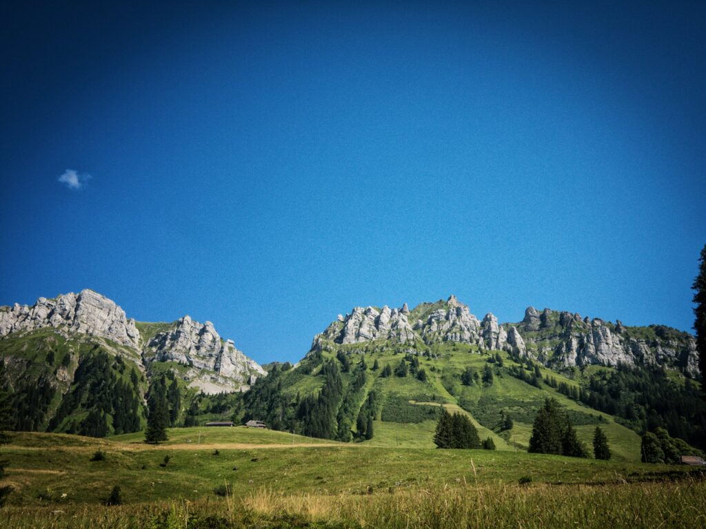 Alpweide und Felsen im Eriz unter blauem Himmel