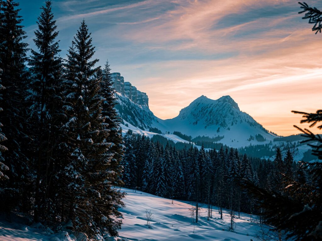 Winterabend im Eriz mit verschneiten Tannen und Bergen